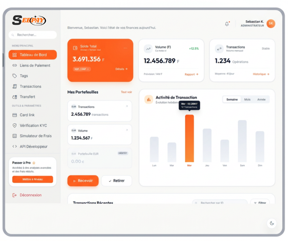 Sebpay Fintech Afrique